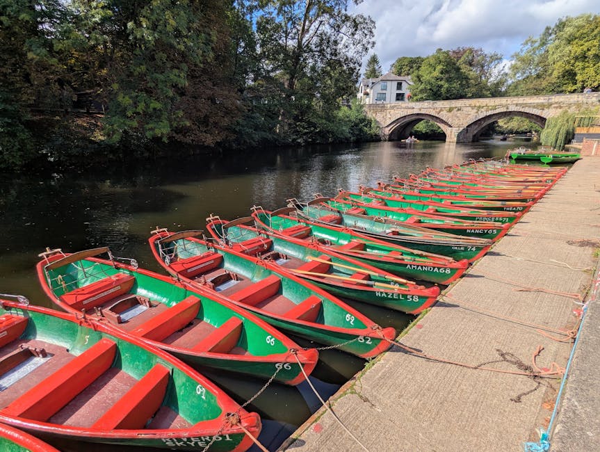 Finding Freedom Through Fear: Facing Your Fears To Flourish